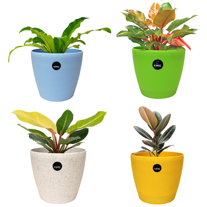 KWEL Deco Flower Pot with Inner Tray, Attractive Pot for Balcony 7Inch -Pack of 4(Multicolor)